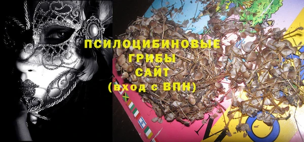 ешки Кодинск