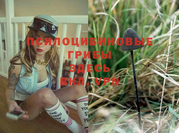 СК Козельск