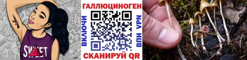 Купить  Муром  Галлюциногенные грибы мицелий 