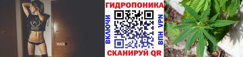 Купить закладки Муром Бошки марихуана AK-47